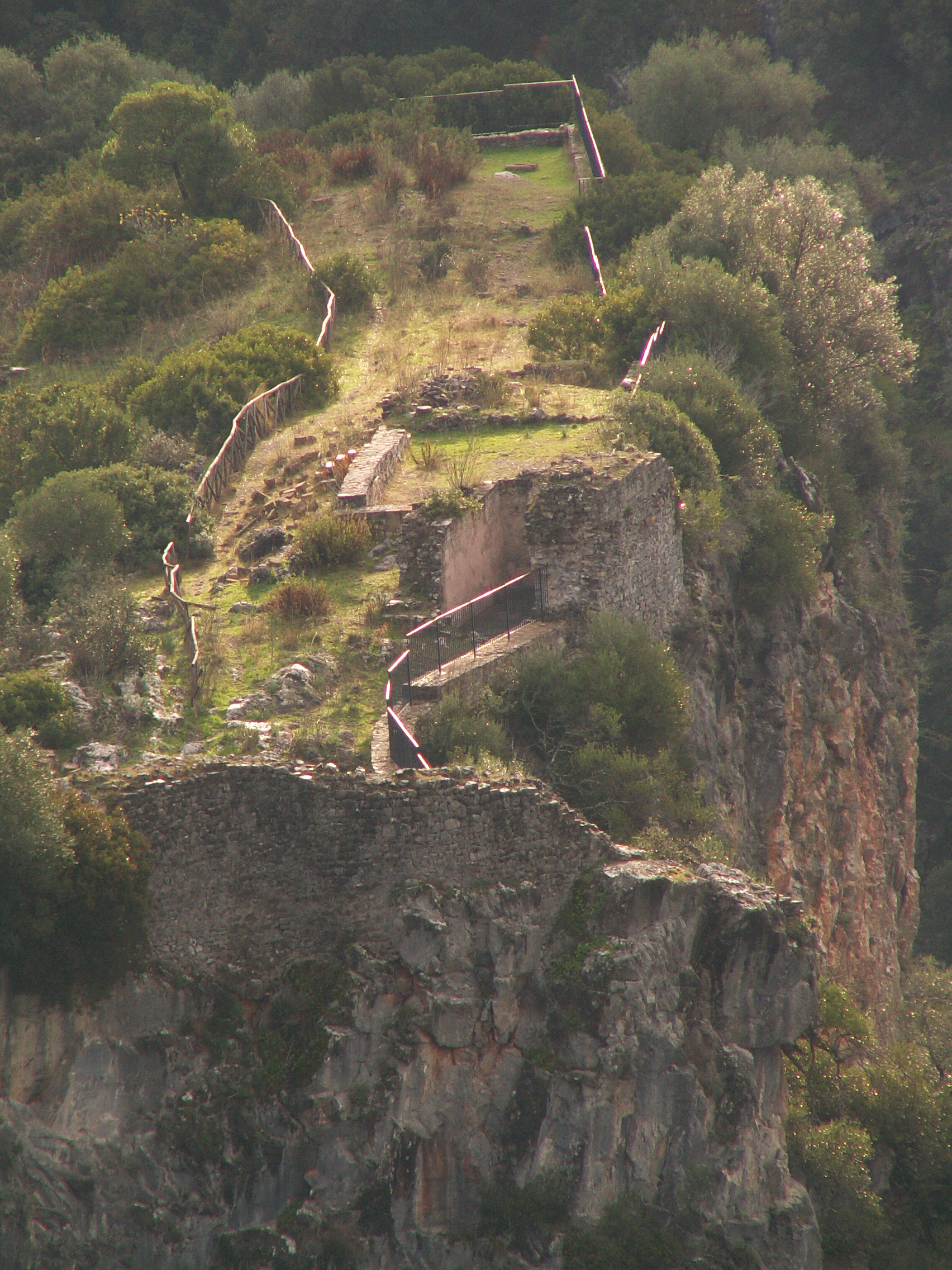 Bando di gara per la progettazione definitiva, esecutiva e l’esecuzione di tutti i lavori di infrastrutturazione dell’Area di Castel Medusa recentemente individuata come SIC, sito di interesse comunitario.