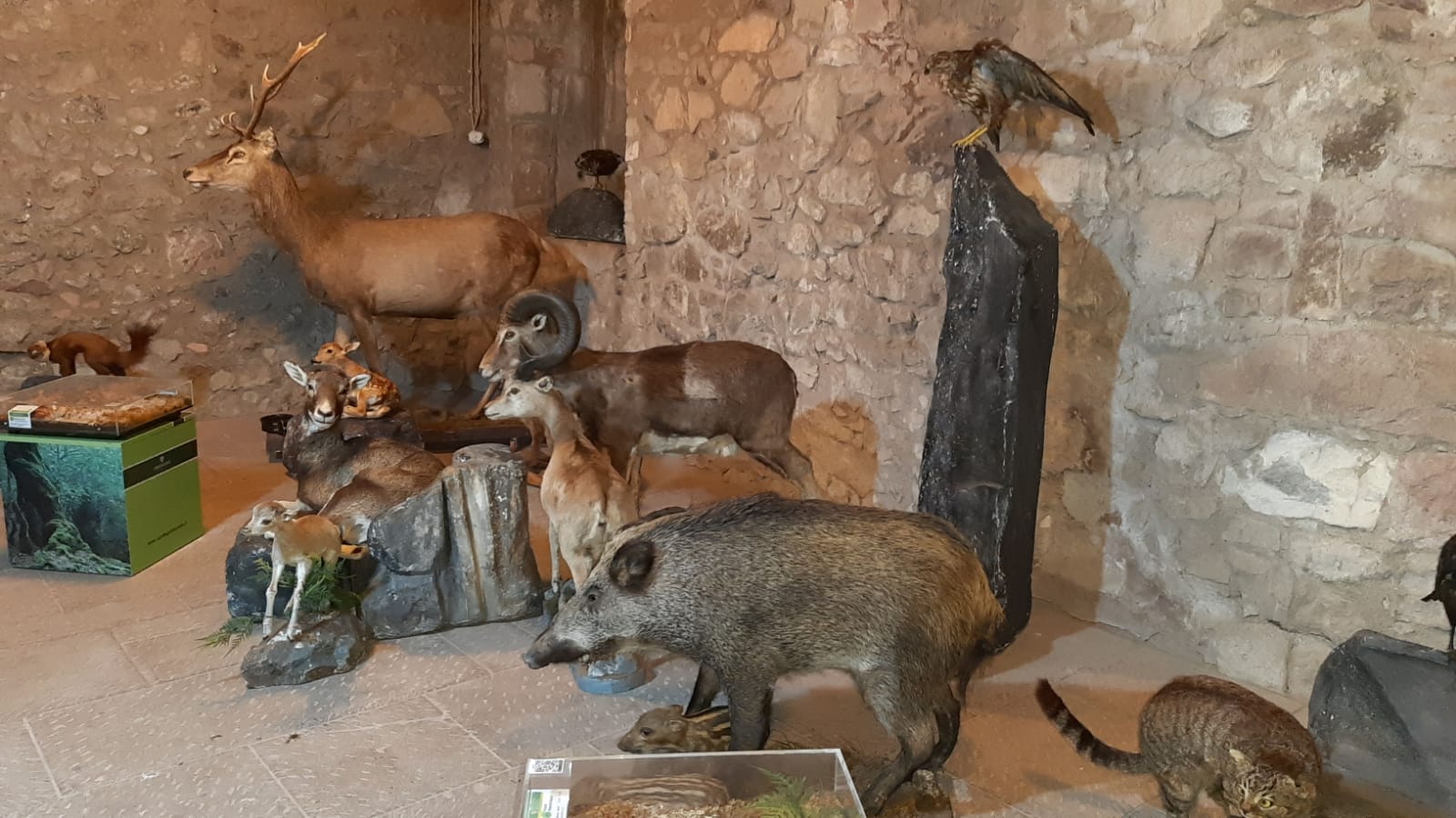 Mostra "I tesori di un'Isola"