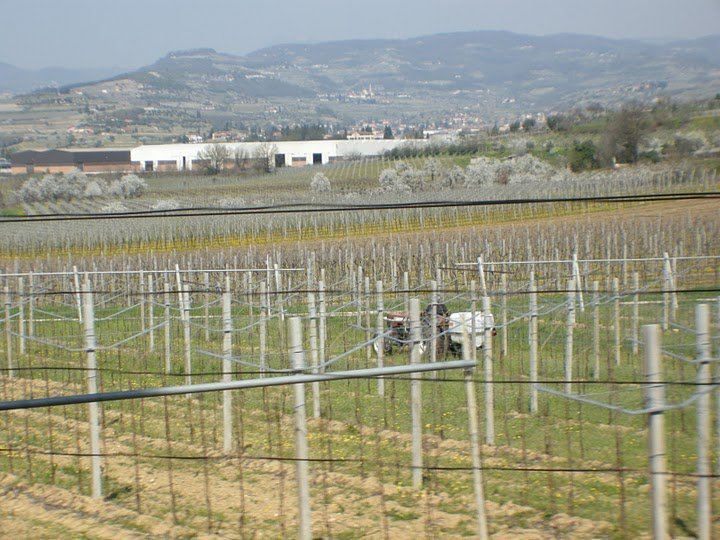 Giornata formativa vitivinicoltura